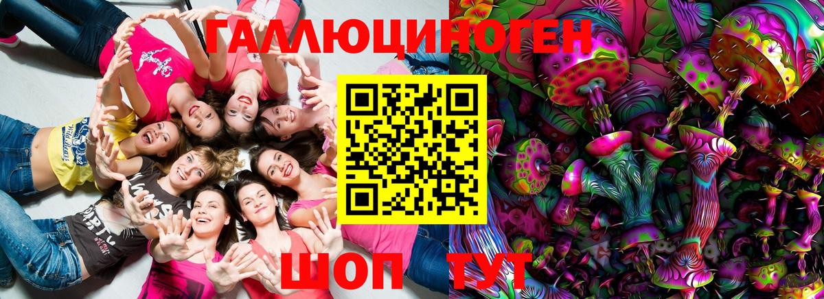 как найти   Галлюциногенные грибы Magic Shrooms  Россошь  Вход с VPN  Галлюциногенные грибы прущие грибы 